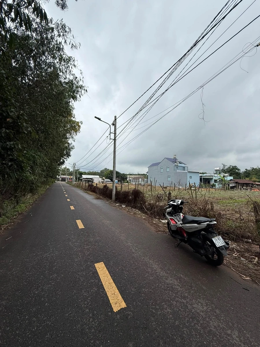 Bán đất Thới Hòa Bến Cát 3000m2 giá 12,5 tỷ - Ảnh thu nhỏ 5
