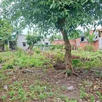 Bán đất mặt tiền 581m² gần chợ An Ngãi, Long Điền giá 2 tỷ 200 triệu - Ảnh thu nhỏ 3