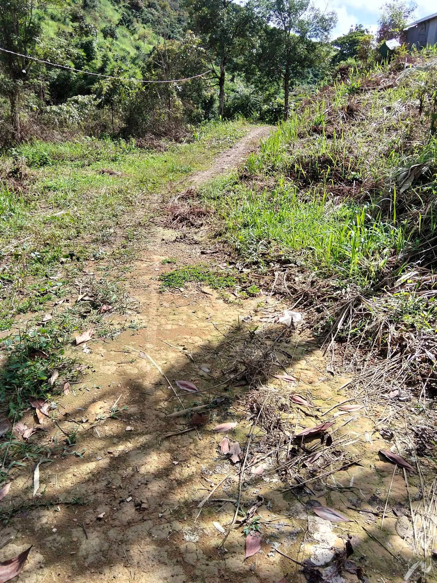Bán 1 ha đất sổ đủ có ao hồ, ôm suối tại thôn 1 Đắk Ha, giá 1,25 tỷ - Ảnh 1