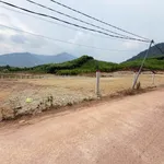 Bán lô đất 4300m2 ngang 33m tại Khánh Trung, Khánh Hòa giá 1,199 tỷ - Ảnh thu nhỏ 3
