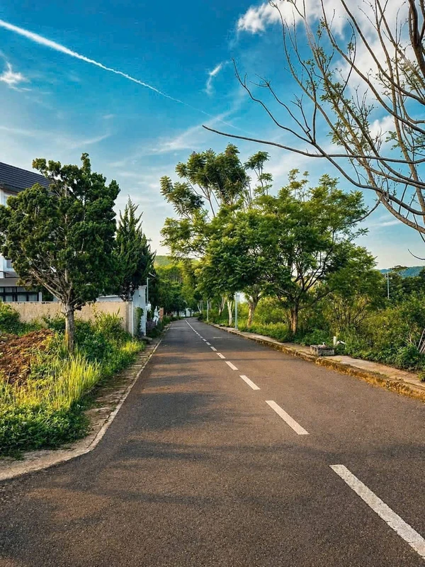 Bán đất xây biệt thự 212,6m² Đà Lạt