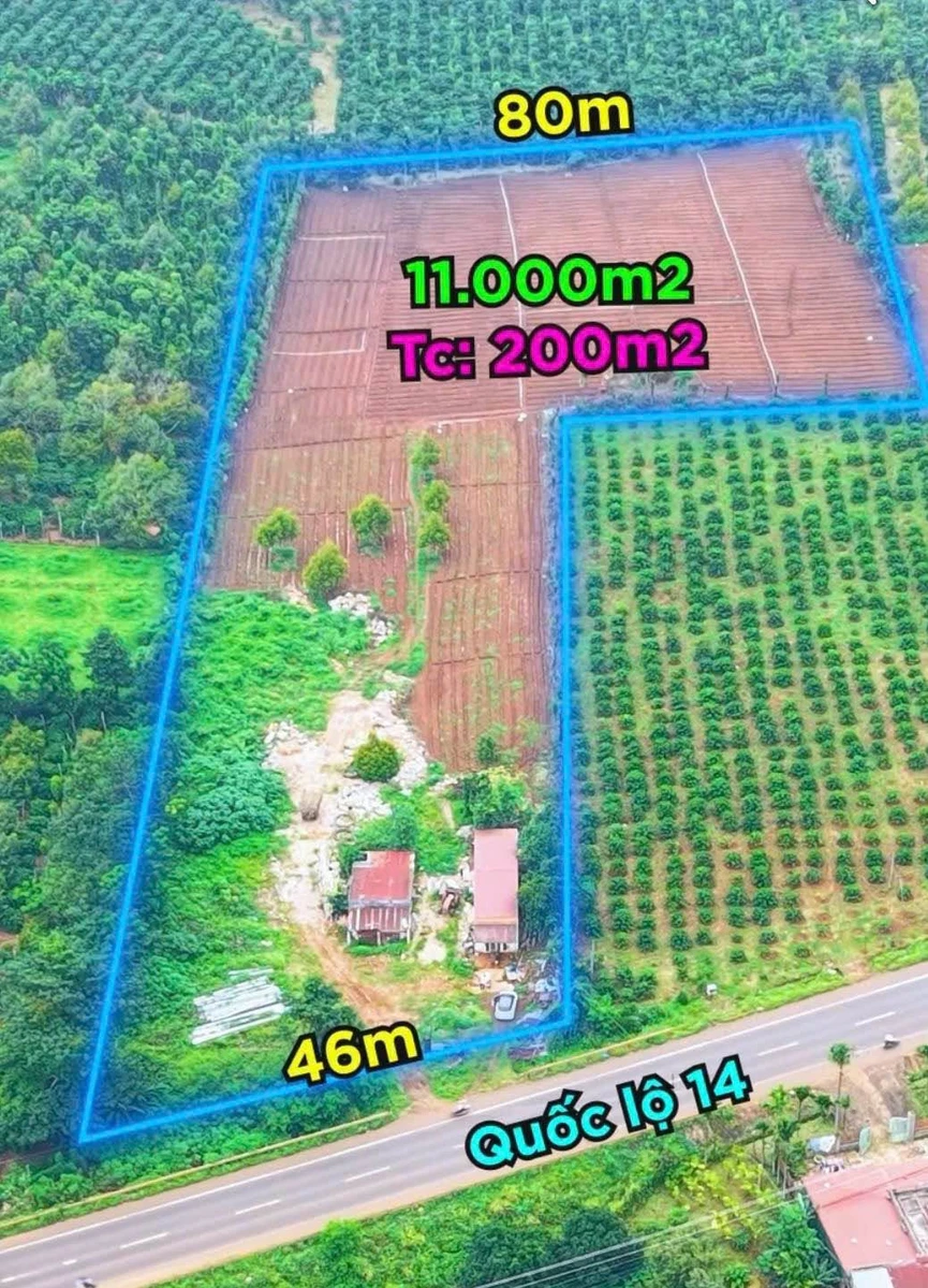 Bán 11000m2 đất mặt tiền Quốc lộ 14 Cuôr Đăng, Đắk Lắk, giá 25 tỷ - Ảnh 1