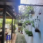 Bán nhà 1 trệt 1 lầu 54m² Bà Rịa 3,5 tỷ - Ảnh thu nhỏ 4