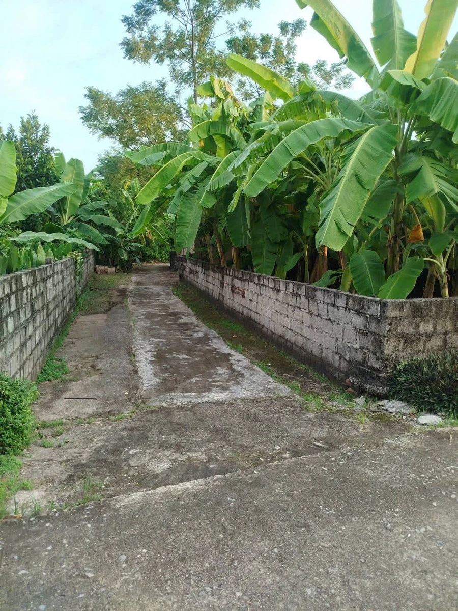Bán đất 335m² 2 mặt tiền, sổ đỏ chính chủ tại xã An Ninh, Bình Lục, Hà Nam - Ảnh thu nhỏ 2