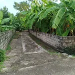 Bán đất 335m² 2 mặt tiền, sổ đỏ chính chủ tại xã An Ninh, Bình Lục, Hà Nam - Ảnh thu nhỏ 2