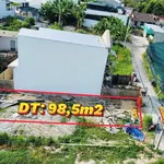 Bán đất dân cắt 98.5m2 xã Diên Toàn Khánh Hòa 1 tỷ 580 triệu - Ảnh thu nhỏ 2