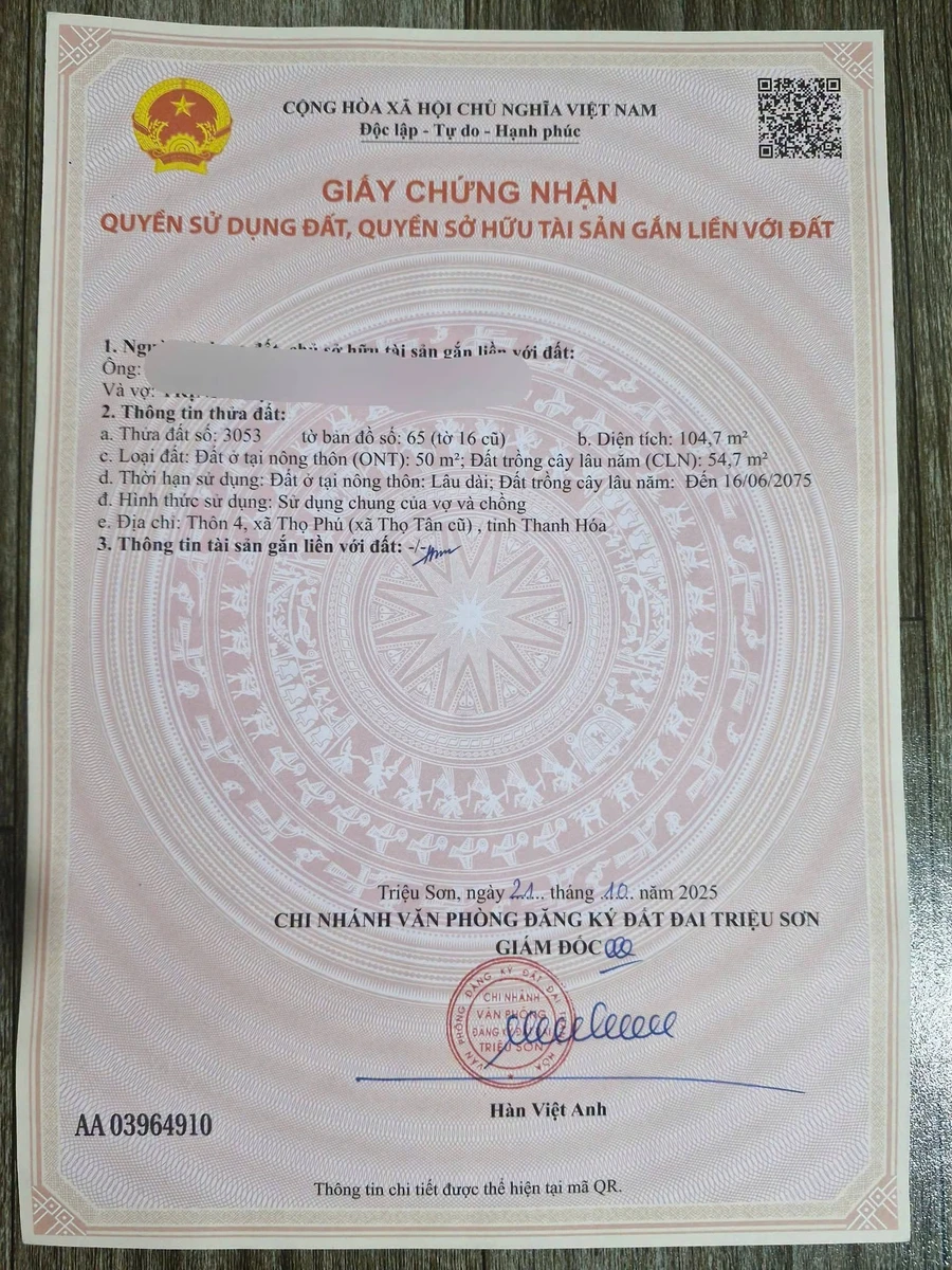 Bán đất hơn 100m2 mặt tiền 9m giá 199 triệu tại xã Thọ Phú, Triệu Sơn, Thanh Hóa - Ảnh 1