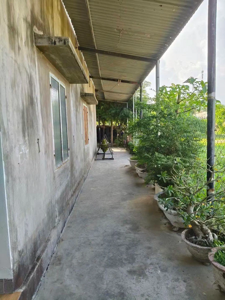 Bán nhà cấp 4 140m² Phước Lâm, Tân Định, Bình Dương 799tr - Ảnh thu nhỏ 3
