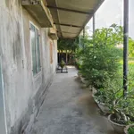 Bán nhà cấp 4 140m² Phước Lâm, Tân Định, Bình Dương 799tr - Ảnh thu nhỏ 3