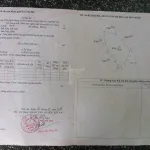 Cực rẻ, chỉ 75 triệu mua được 1,85ha đất rừng sản xuất - Ảnh thu nhỏ 4