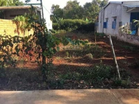 Đất 10x25m mặt tiền đường thông có thổ cư - Ảnh thu nhỏ 4