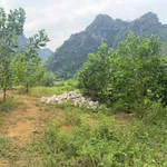 Bán đất vườn 911m2 Lương Sơn, Hòa Bình 7 tỷ - Ảnh thu nhỏ 2