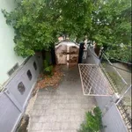 Cho thuê nhà nguyên căn mặt tiền Vân Đồn, 150m², 35 triệu/tháng - Ảnh thu nhỏ 2