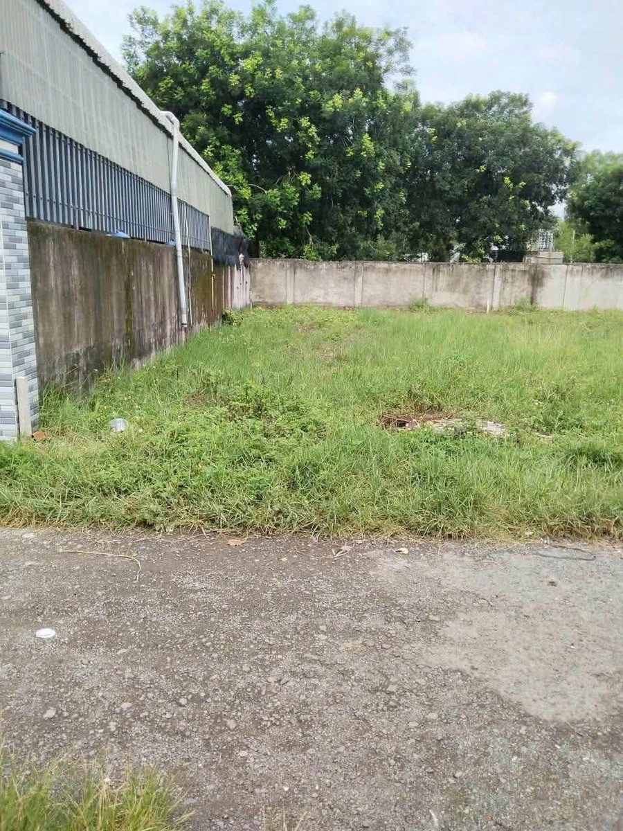 Bán lô đất 233m² phường Long Thành Đồng Nai - Ảnh thu nhỏ 2