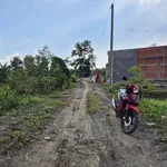 Bán đất thổ cư 1000m2 mặt tiền, Cần Đước, Long An - Ảnh thu nhỏ 5