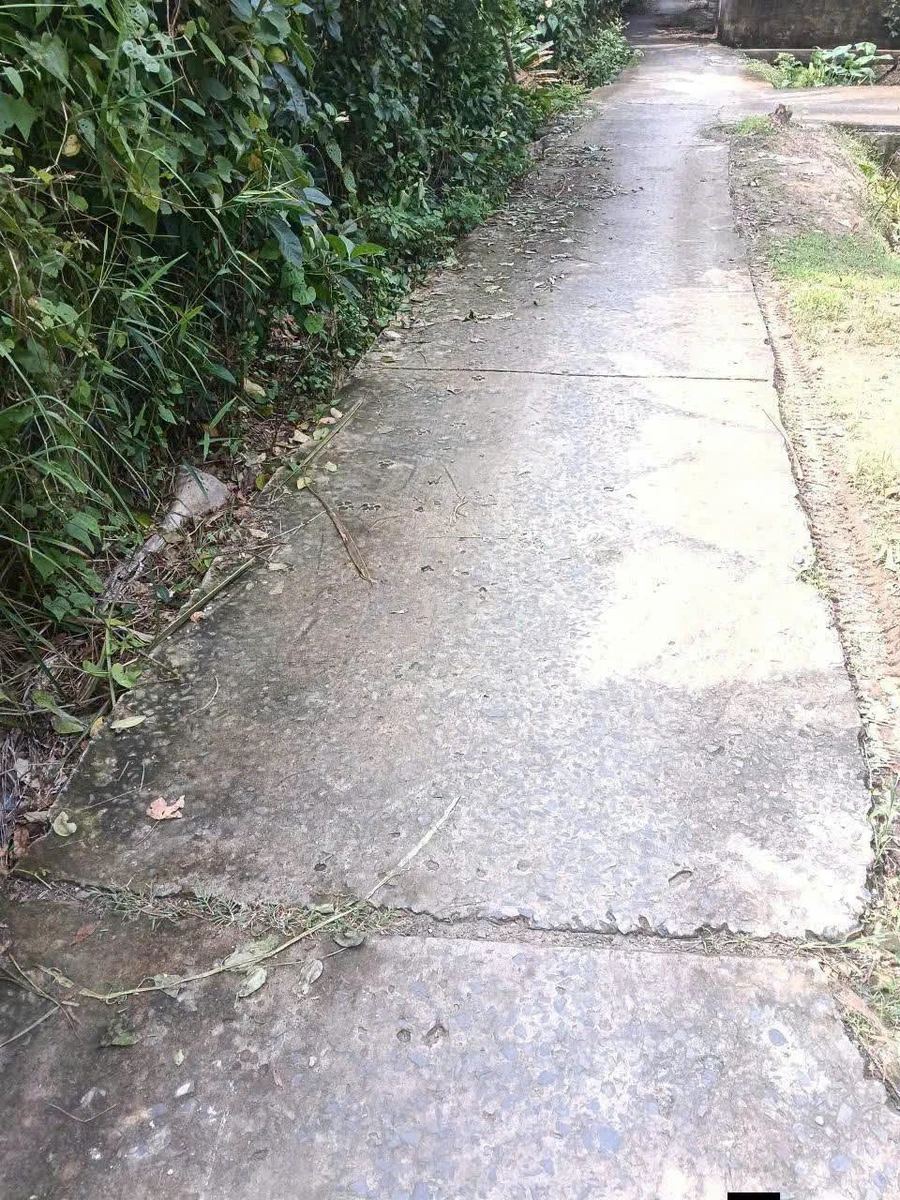 Bán nhà gỗ 107m2 đường Thông xã Phú An Hoà - Ảnh thu nhỏ 2