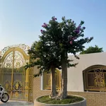 Bán nhà vườn 500m2 Tân Hiệp Tân Uyên - Ảnh thu nhỏ 3