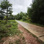 Đất kiệt rộng làm nhà vườn trang trại hay dịch vụ lưu trú vui chơi Phú Bài, Huế - Ảnh thu nhỏ 4
