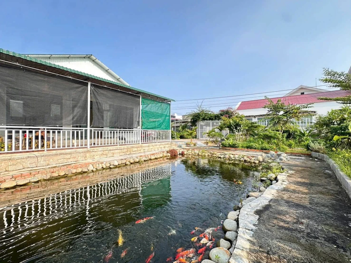 Bán nhà vườn Phường Bình Thuận 440m² lô góc 2 mặt tiền - Ảnh thu nhỏ 5