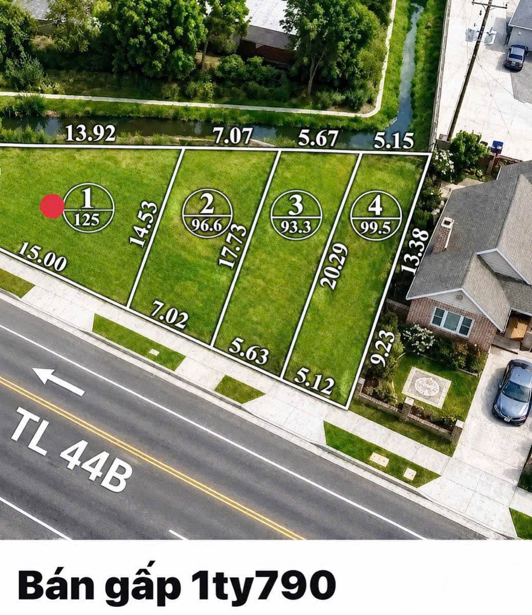 Bán lô đất mặt tiền Tỉnh lộ 44B Long Điền 125m² 1 tỷ 690 triệu - Ảnh thu nhỏ 3