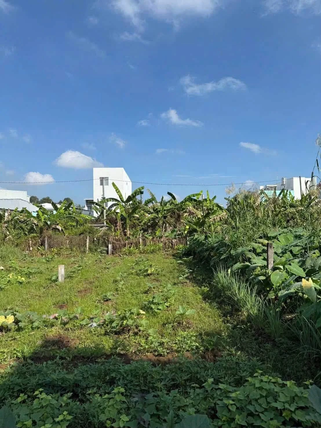 Bán nền đất 100m2 Trần Vĩnh Kiệt Quận 1 - Ảnh 1
