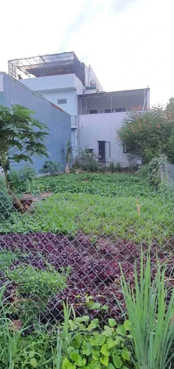 Bán lô đất 133m² hẻm Lê Quý Đôn, Quận 1 - Ảnh 1