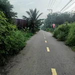 Bán gấp lô đất Bàu Bàng 147m² sổ hồng - Ảnh thu nhỏ 3