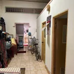 Bán nhà cấp 4 3 phòng ngủ 100m2 Bùi Thị Xuân - Ảnh thu nhỏ 2