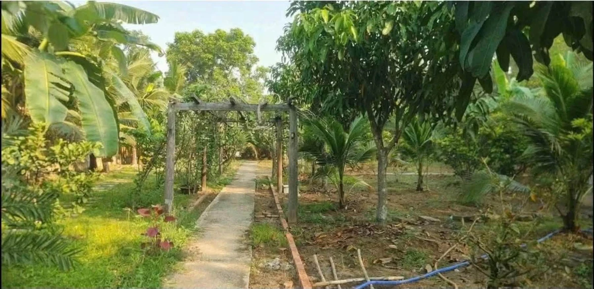 Bán nhà vườn An Điền 1.411m2, giá 4,5 tỷ - Ảnh thu nhỏ 5