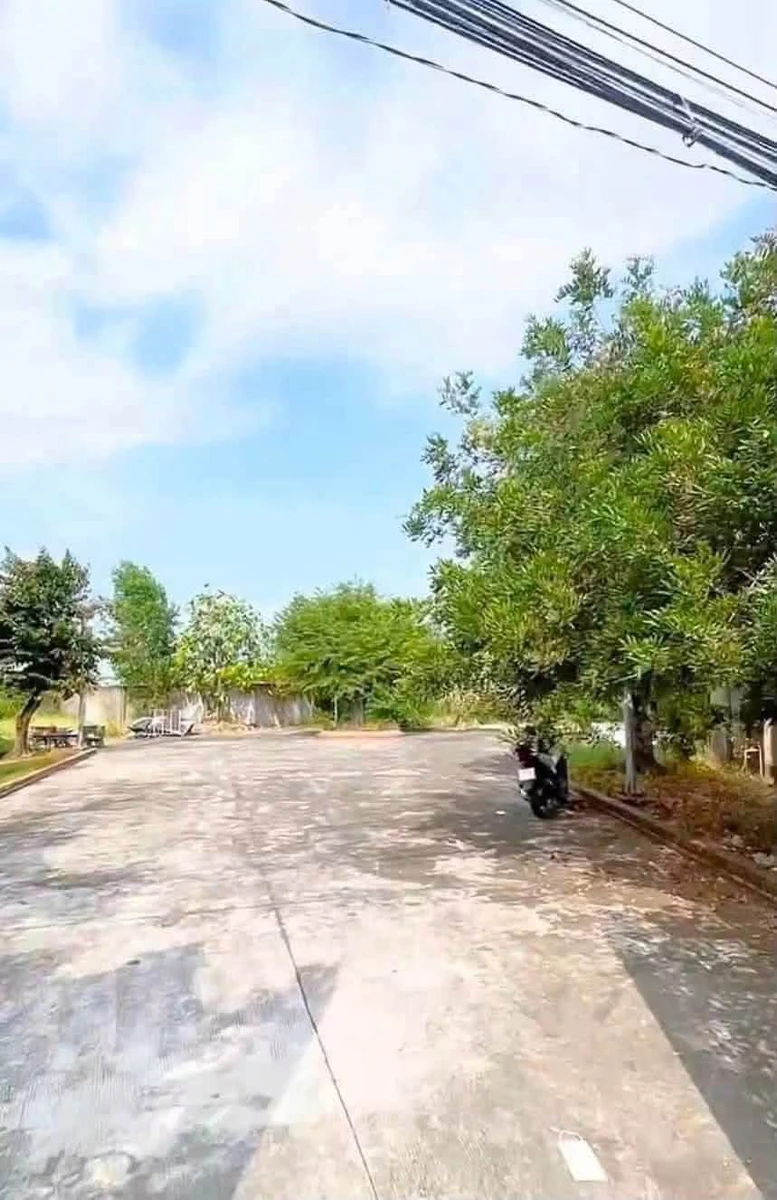 Bán lô đất 1.537m² mặt tiền đường Tỉnh Lộ 826, Cần Đước, Long An - Ảnh thu nhỏ 3