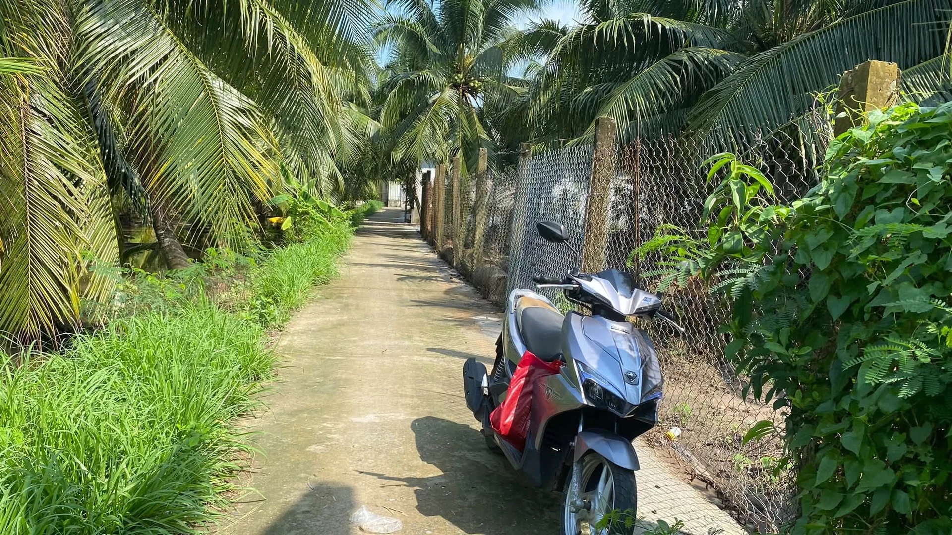 Bán nền 147m2 tại Xã Phú Hưng, TP Bến Tre - Ảnh 1