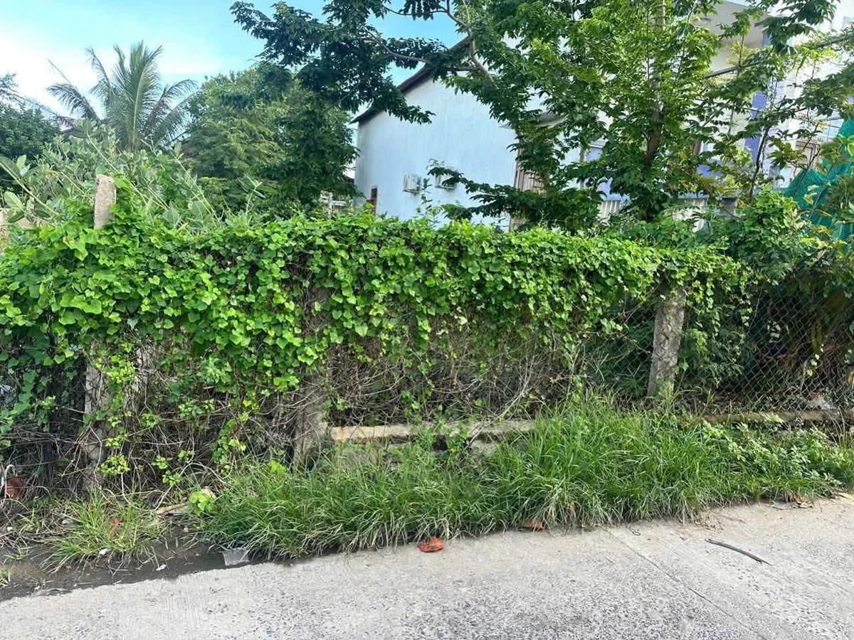 Bán 2 lô đất gần biển 500m, giá 11tr/m2 đường Huỳnh Tấn Phát, Hoà Hiệp - Ảnh thu nhỏ 3