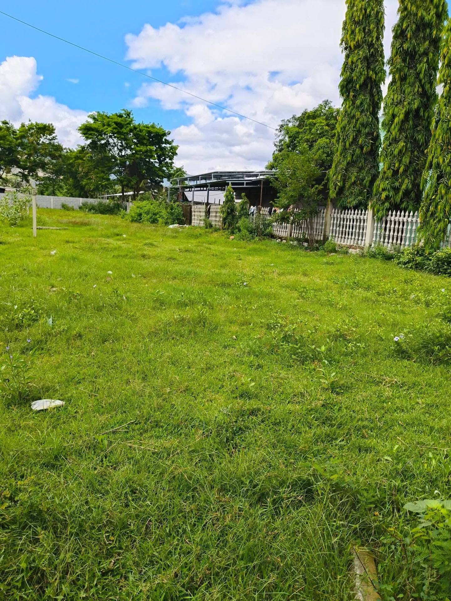 Bán đất 710m2 trồng cây ở Khánh Hòa giá 1 tỷ 550 triệu - Ảnh 1