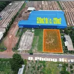 Bán đất nền 5x52m (60m2) mặt đường Phùng Hưng, Chơn Thành - Ảnh thu nhỏ 1