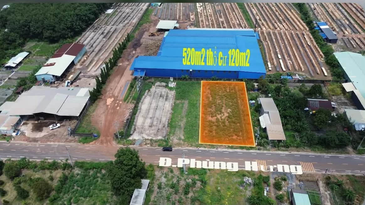 Bán đất nền 5x52m (60m2) mặt đường Phùng Hưng, Chơn Thành - Ảnh 1