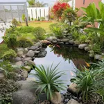 Bán đất vườn sinh thái 1100m² Phường Vĩnh Lợi Bình Tân - Ảnh thu nhỏ 1