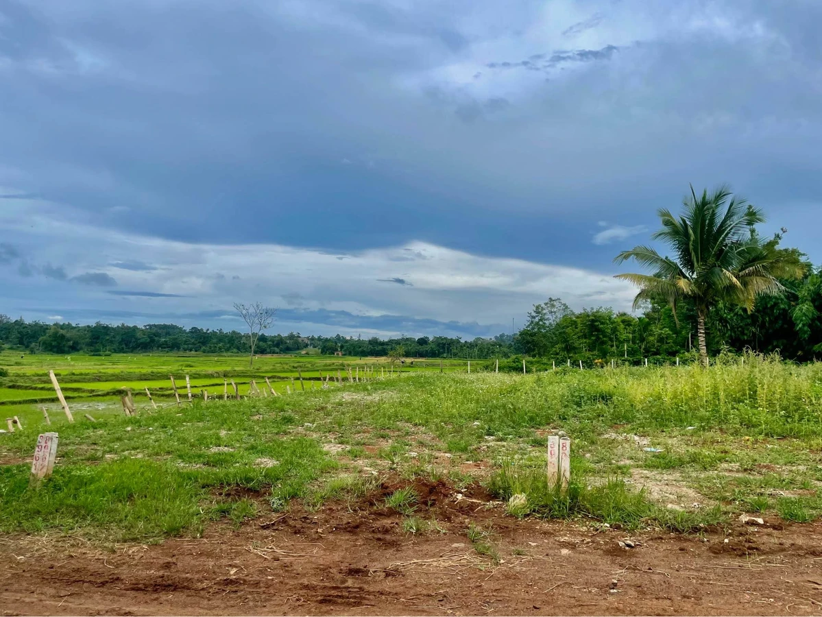 Bán đất Buôn Eatieu 240m² 350 triệu, sổ sẵn - Ảnh thu nhỏ 3