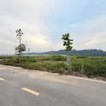 Bán đất 100m2 Khu Tân Lập 1.9 tỷ - Ảnh thu nhỏ 3