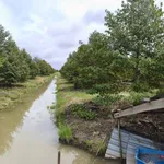 Bán vườn sầu riêng 26.000m2 có sẵn 430 cây, Trường Long, Phong Điền, Cần Thơ - Ảnh thu nhỏ 3