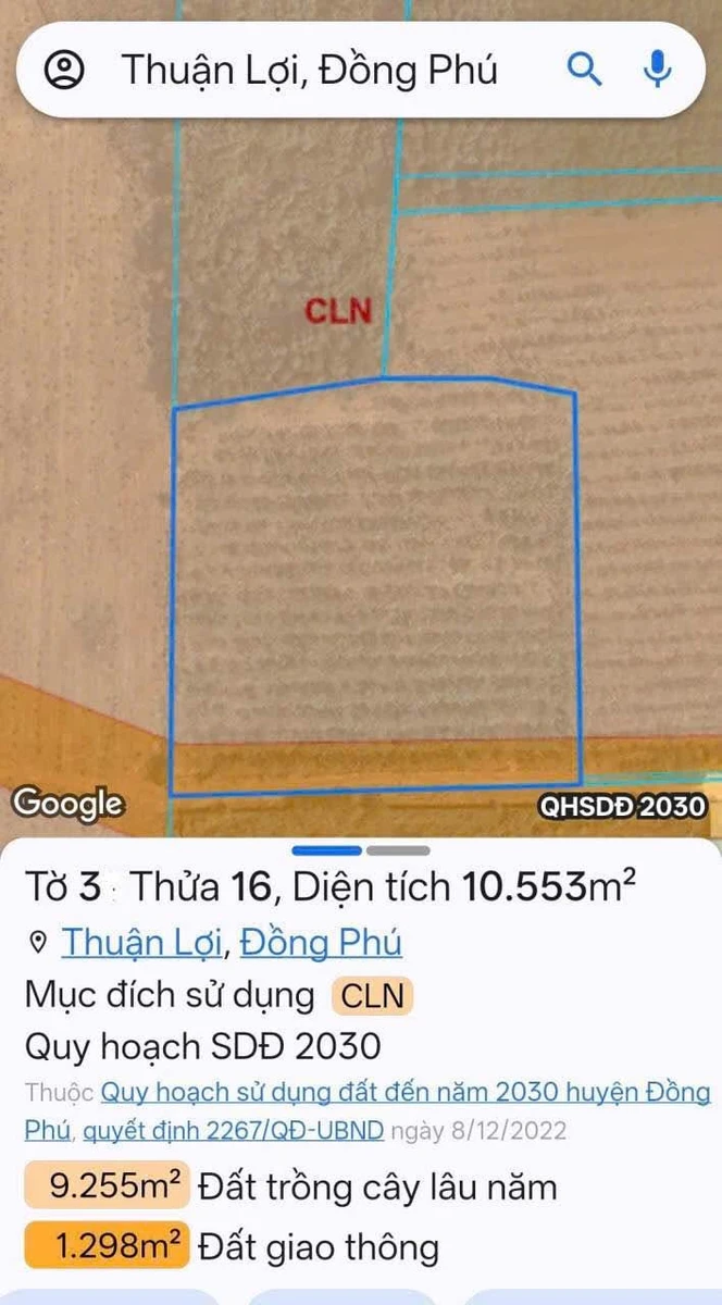 Bán 1 ha cao su Thuận Phú 1 tỷ 800 triệu - Ảnh 1