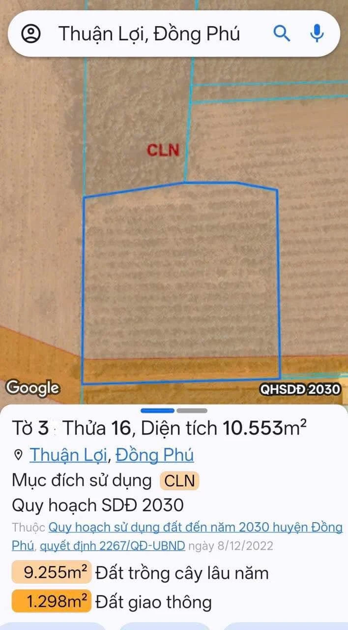 Bán 1 ha cao su Thuận Phú 1 tỷ 800 triệu - Ảnh 1