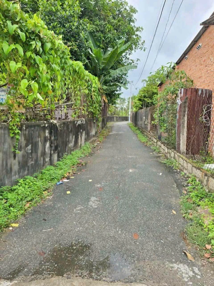 Bán lô đất Long Hương 115,7m², 1 tỷ 290 triệu - Ảnh thu nhỏ 2
