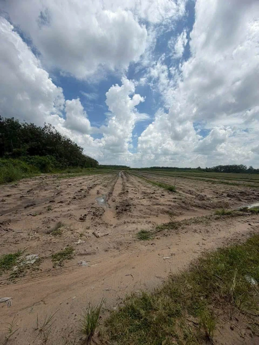 Bán 42000m² đất mặt tiền 389m tại Tây Ninh - Ảnh thu nhỏ 3