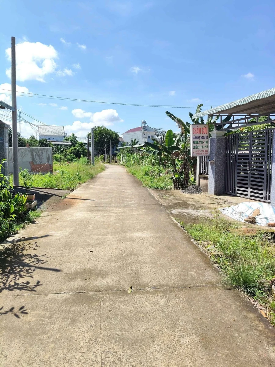 Bán đất Hóc Môn gần chợ cầu 2, 583m2, 1 tỷ 1 - Ảnh thu nhỏ 2