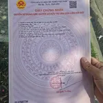 Bán đất Phường Ninh Hòa 114m² sổ hồng riêng 399 triệu - Ảnh thu nhỏ 2