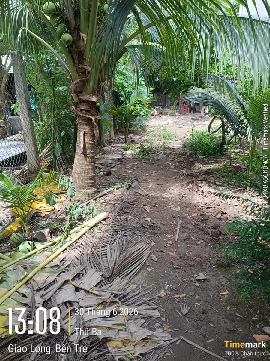 Bán 2000m2 đất có nhà nát gần KCN Giao Long, Bình Chánh - Ảnh thu nhỏ 5
