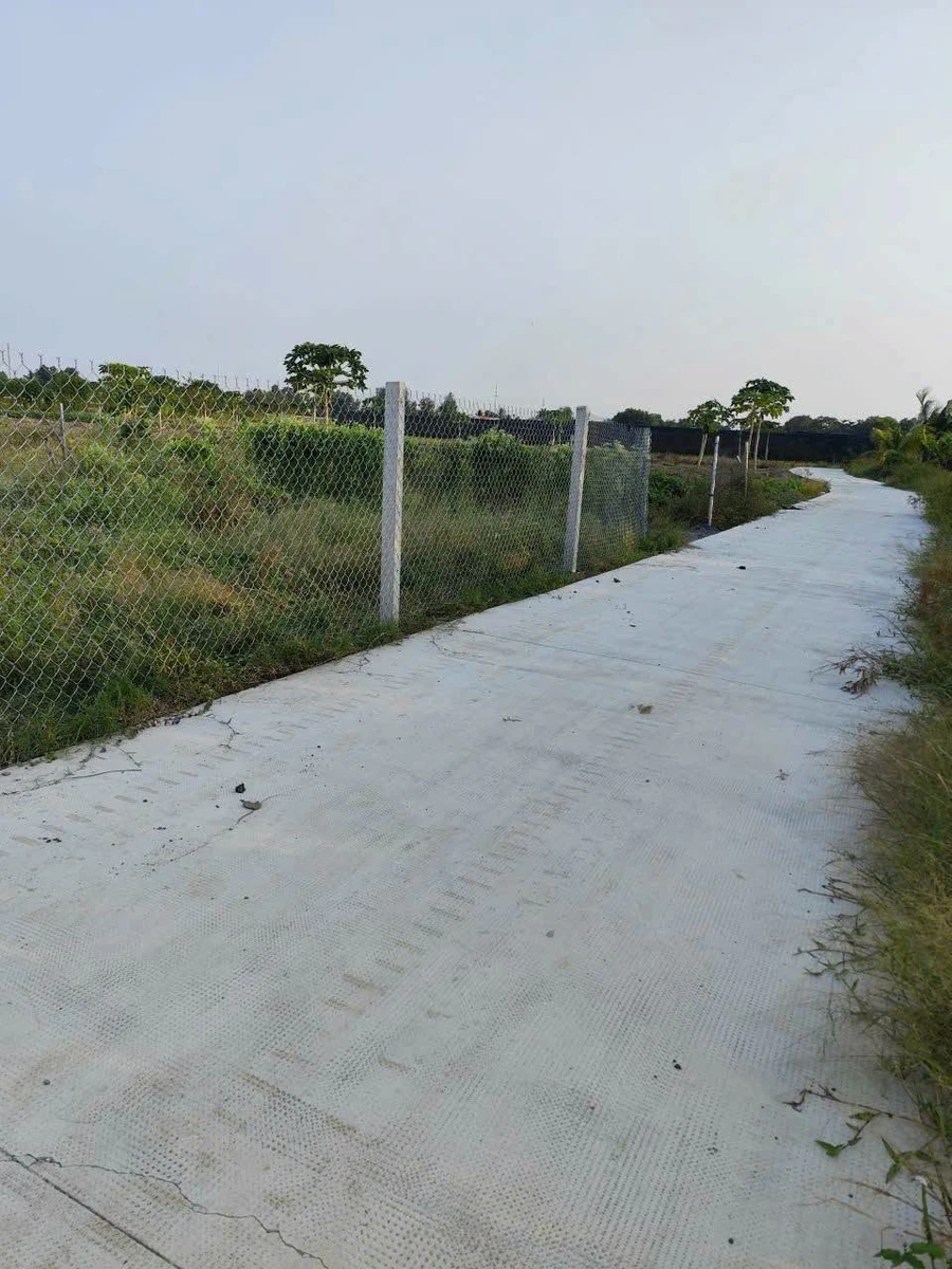 Bán lô đất vườn 1400m² Xã Bình Chánh, 5.2 tỷ - Ảnh 1