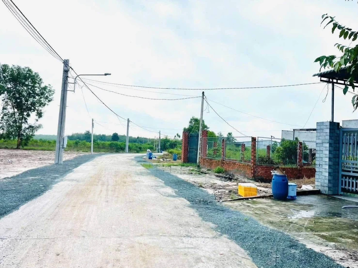 Bán đất gần 1 mẫu cao su Minh Hưng, Bình Chánh - Ảnh thu nhỏ 3