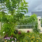Bán nhà vườn 261m² 3 phòng ngủ, 2,9 tỷ Lâm Hà - Ảnh thu nhỏ 4
