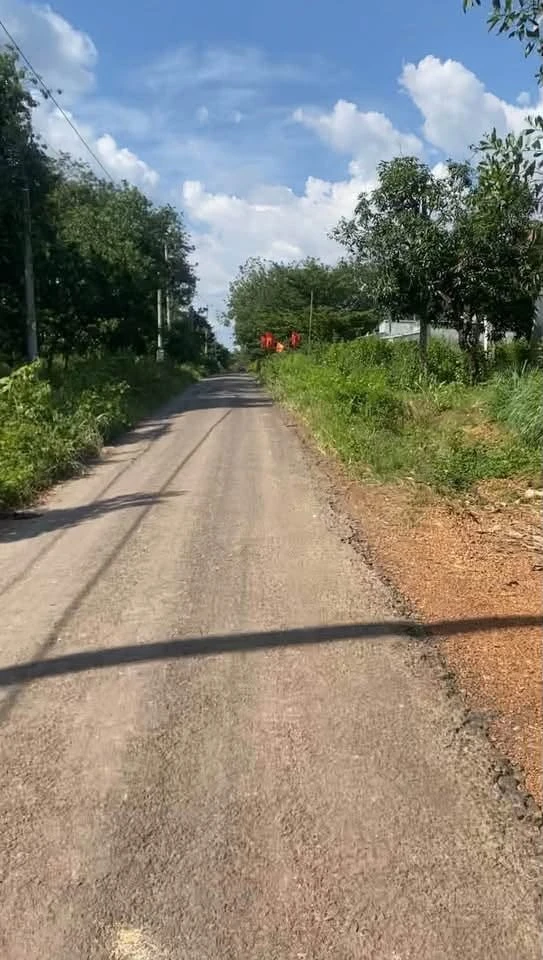 Bán 2,4ha đất cao su có nhà cấp 4, Đồng Tiến, Bình Phước, giá 3,5 tỷ - Ảnh thu nhỏ 2